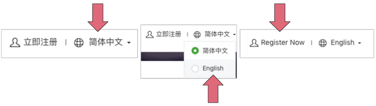 Language options